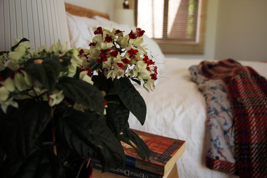 A Casa Da Arvore Bed and Breakfast Vila Nova de Milfontes Habitación foto