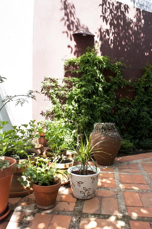 A Casa Da Arvore Bed and Breakfast Vila Nova de Milfontes Exterior foto
